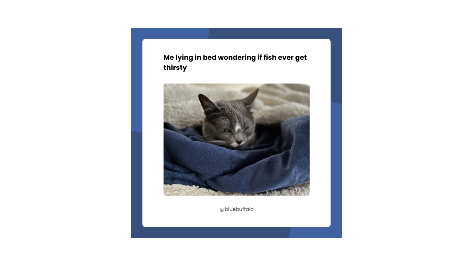 BLUE Portfolio.007.jpeg