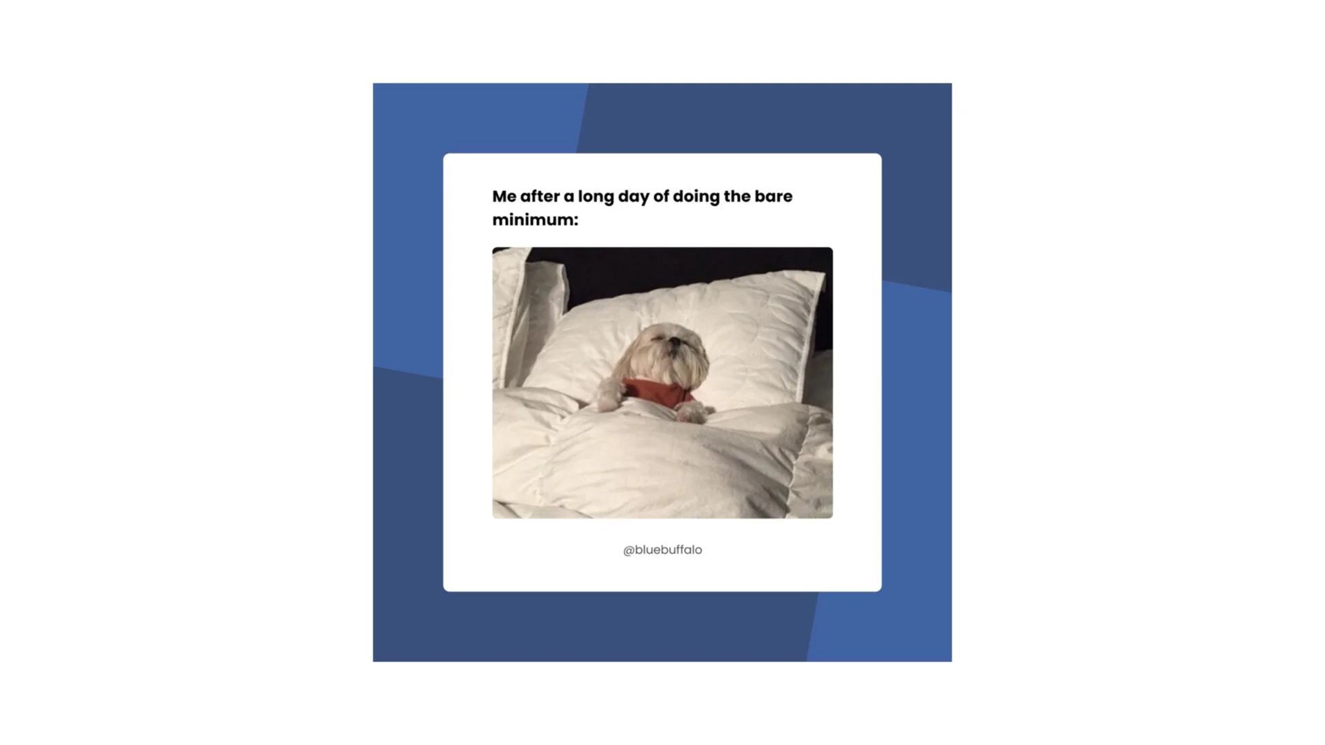  Caption: I am but a fragile little worker. 