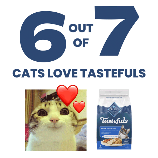  Caption: The seventh cat said it was “mid.” 