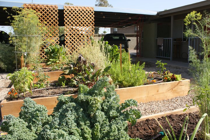 At the 2010 opening, Spence Garden Community pioneered the idea of community gardening. Tenants share gardening ideas and compost onsite.