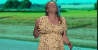 mine 2.gif