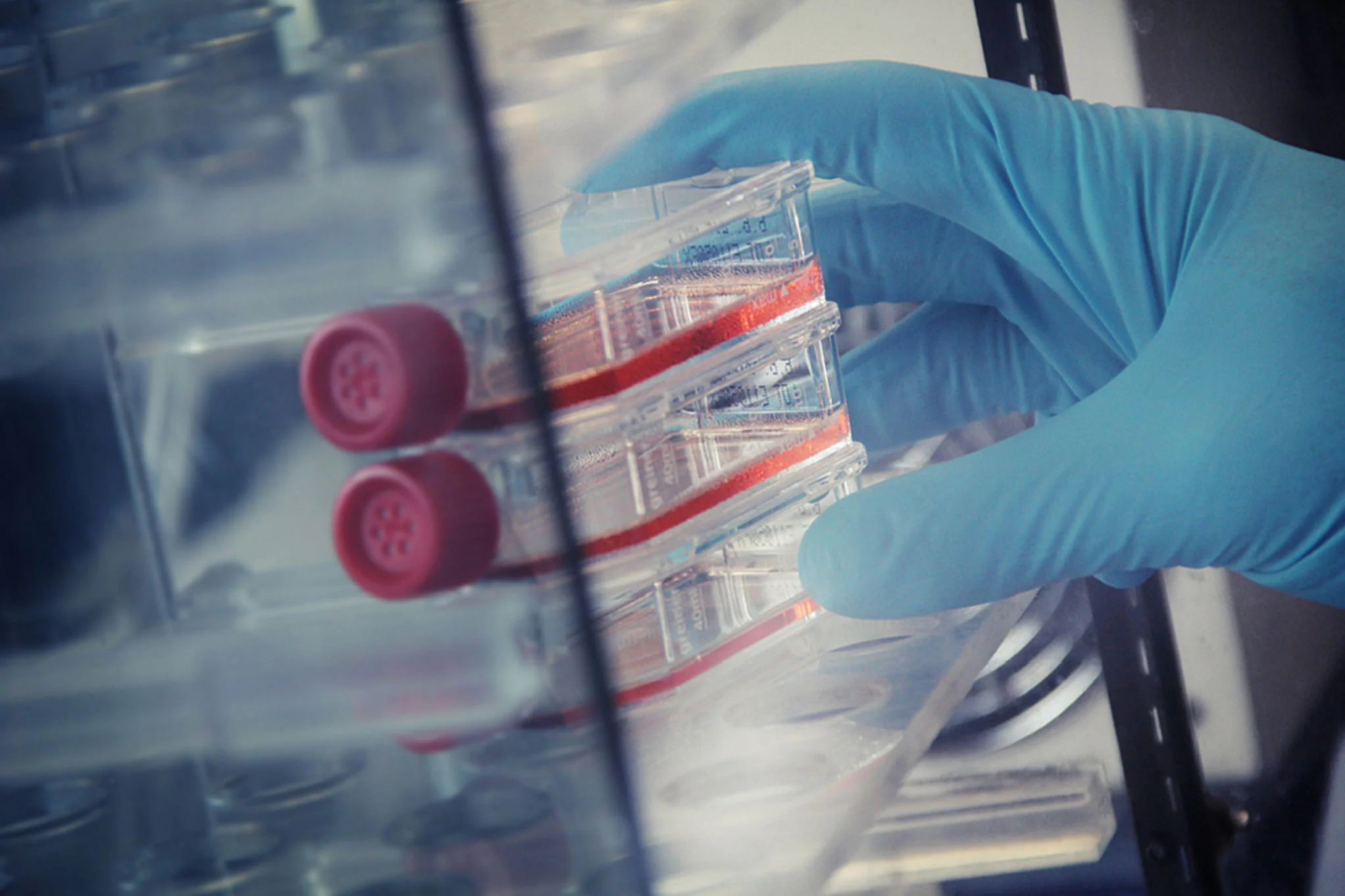 Image Courtesy of UCD School of Medicine