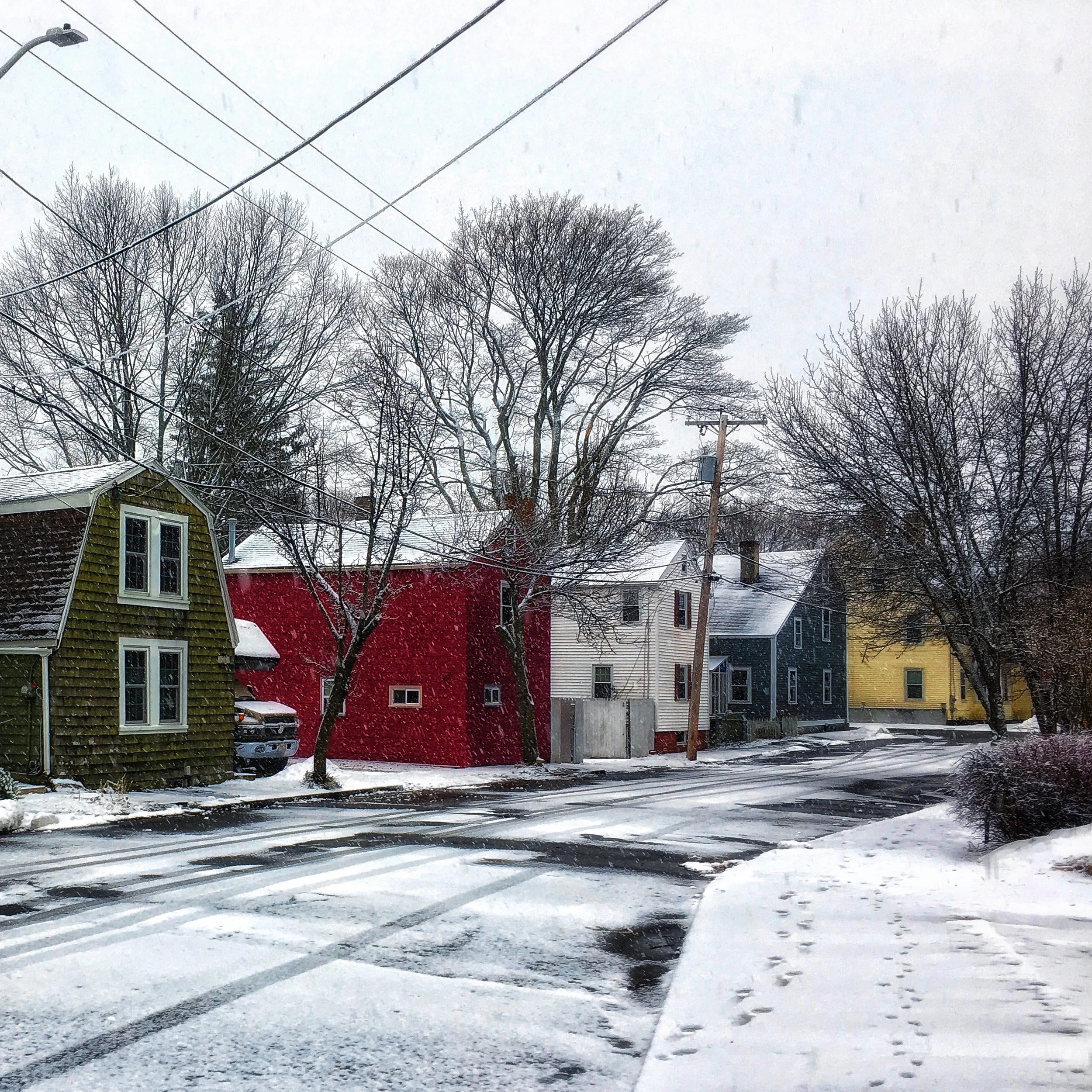 The Herald: January Newsletter