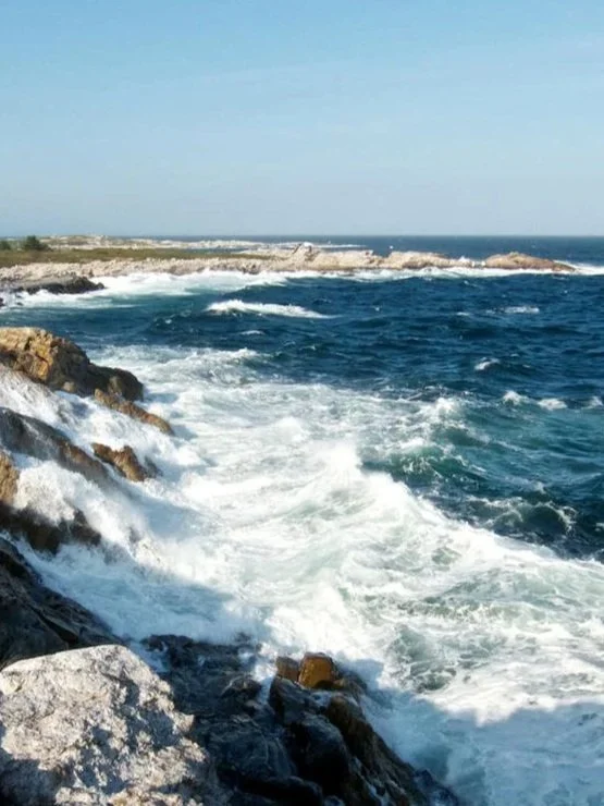 Minister's Message: An Invitation to Water Communion