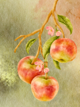 Minister's Message: Centering the Work of the Spirit