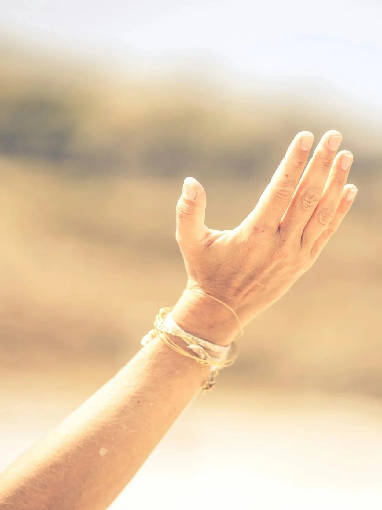 Sermon: "Will You Say the Blessing?"  (Rev. Danielle)