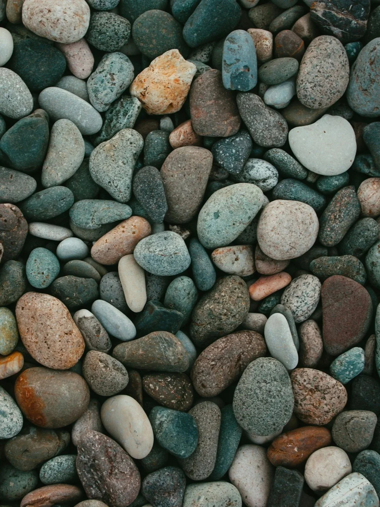 Sermon:  "Begin Again... and Again... and Again... in Love" (Rev. Danielle)