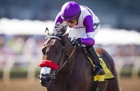 Like Mario Guiterrez and the awesome Nyquist to capture the 142nd Derby today