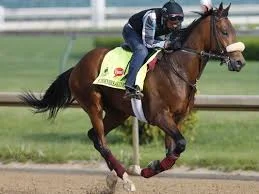 Like Suddenbreakingnews to upset Exaggerator at the Belmont