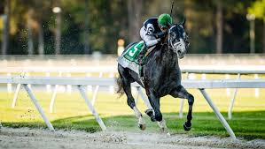 Like 6:1 Tapwrit to capture the 149th Belmont Stakes on Saturday
