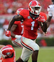Sony Michel.jpeg