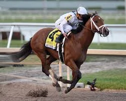 Audible captures the 144th Derby (Photo, Kentucky Derby).