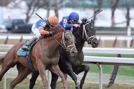 I'll take Todd Pletcher, John Velazquez and Vino Rosso to upset Justify in The Test of the Champion" (Photo, BloodHorse).