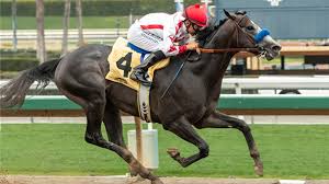 I’m riding this stud, Roadster, in the Kentucky Derby