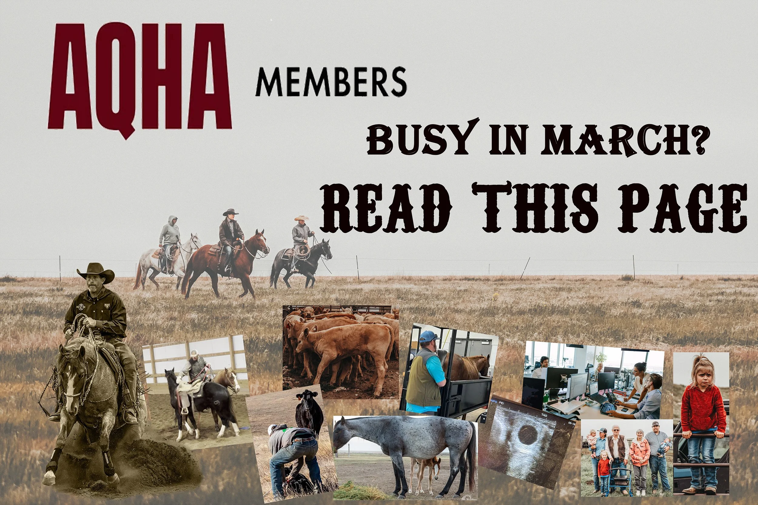 Bylaw amendment web graphic.jpg