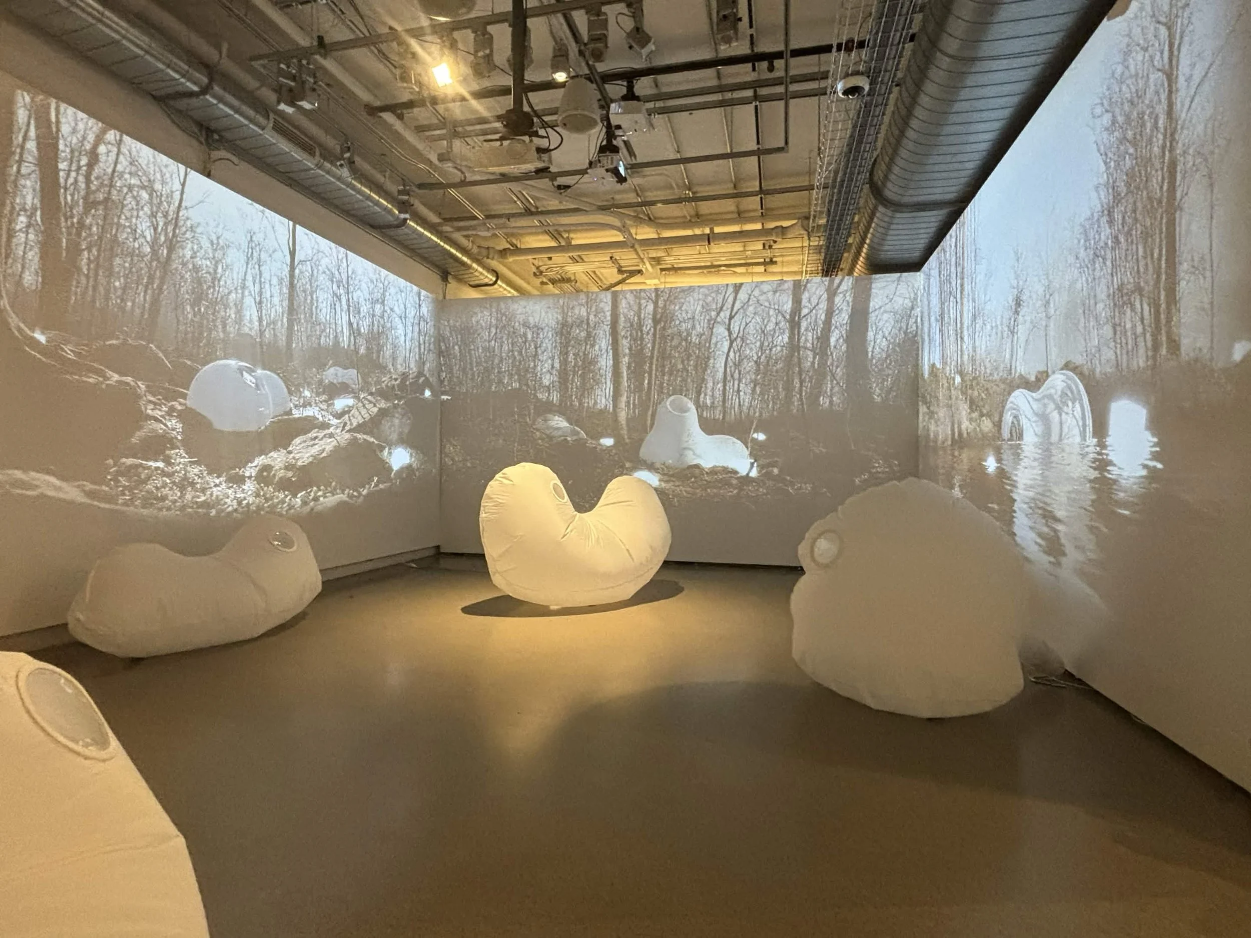 Documentation of Appalachian Scifi Gallery Piece; shows 3 projection walls and 4 inflatable sculptures