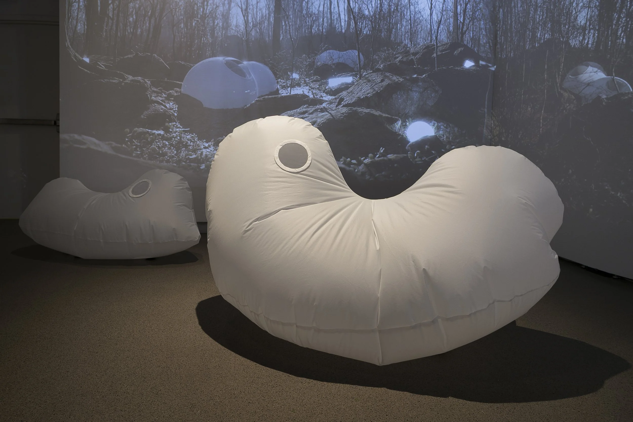 data_collectors.exe
ripstop nylon, air, fans, archival material 
2025


Amorphous structures that embody the physical data collections and preservation of Appalachian narratives. Preserving the hand-made is an important element of Appalachian Sci-Fi 