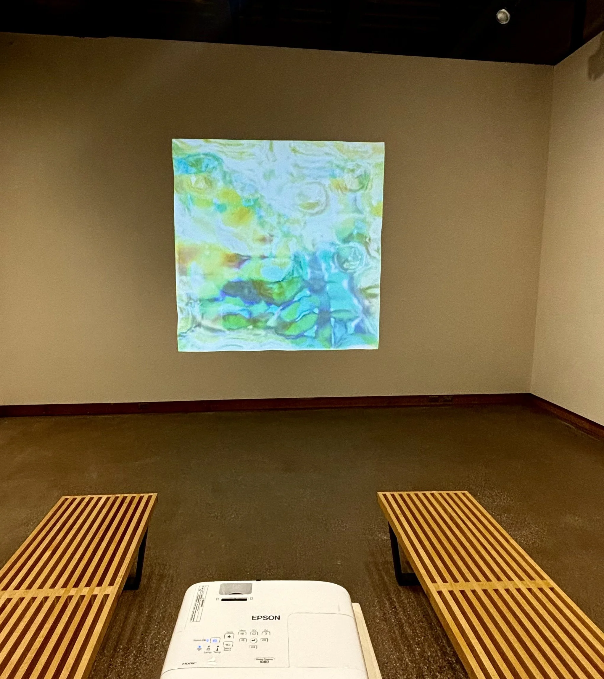 Crystalline Holler
Looping 3D animation, photos from nature walks 
2023