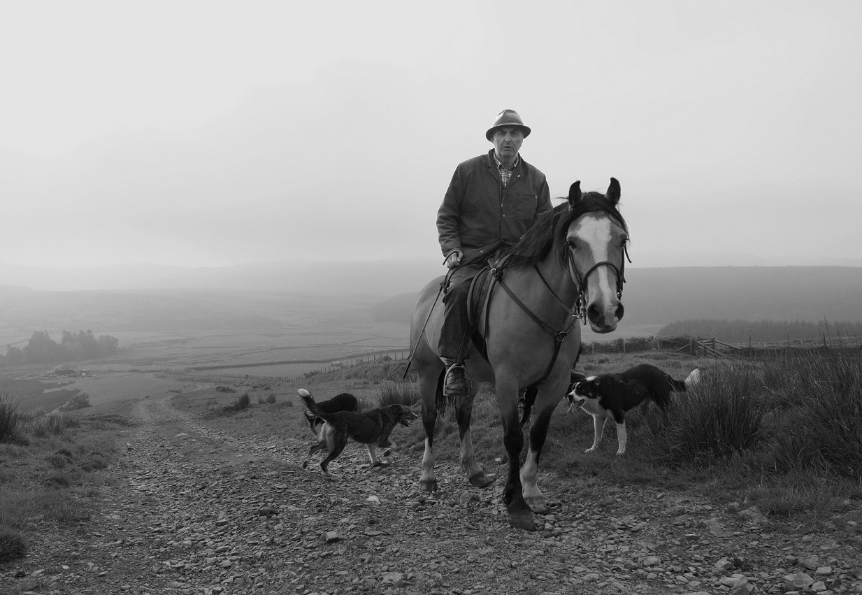  Riding out (Nant yr Hafod) gan Peter Jenkins, 2016