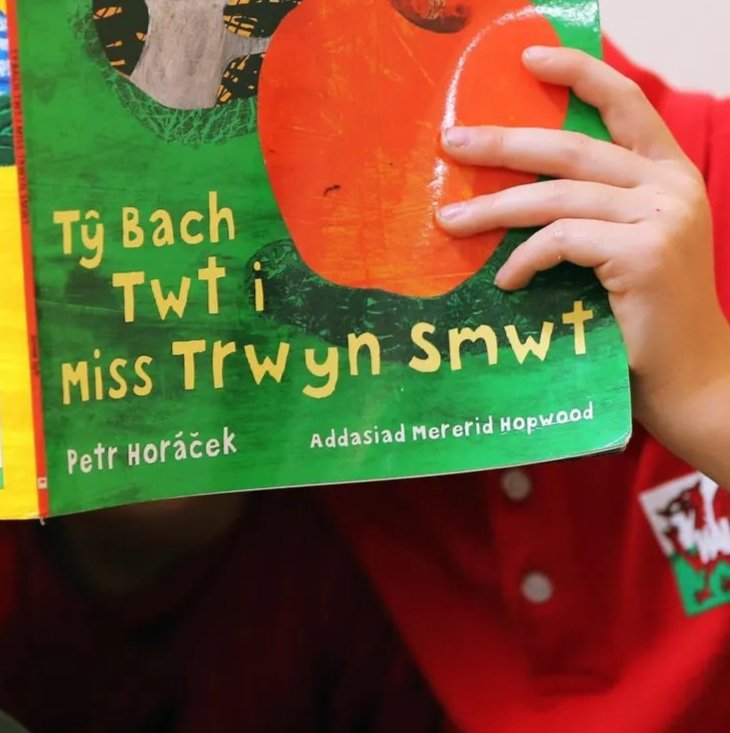 children+reading+Welsh+books.jpg