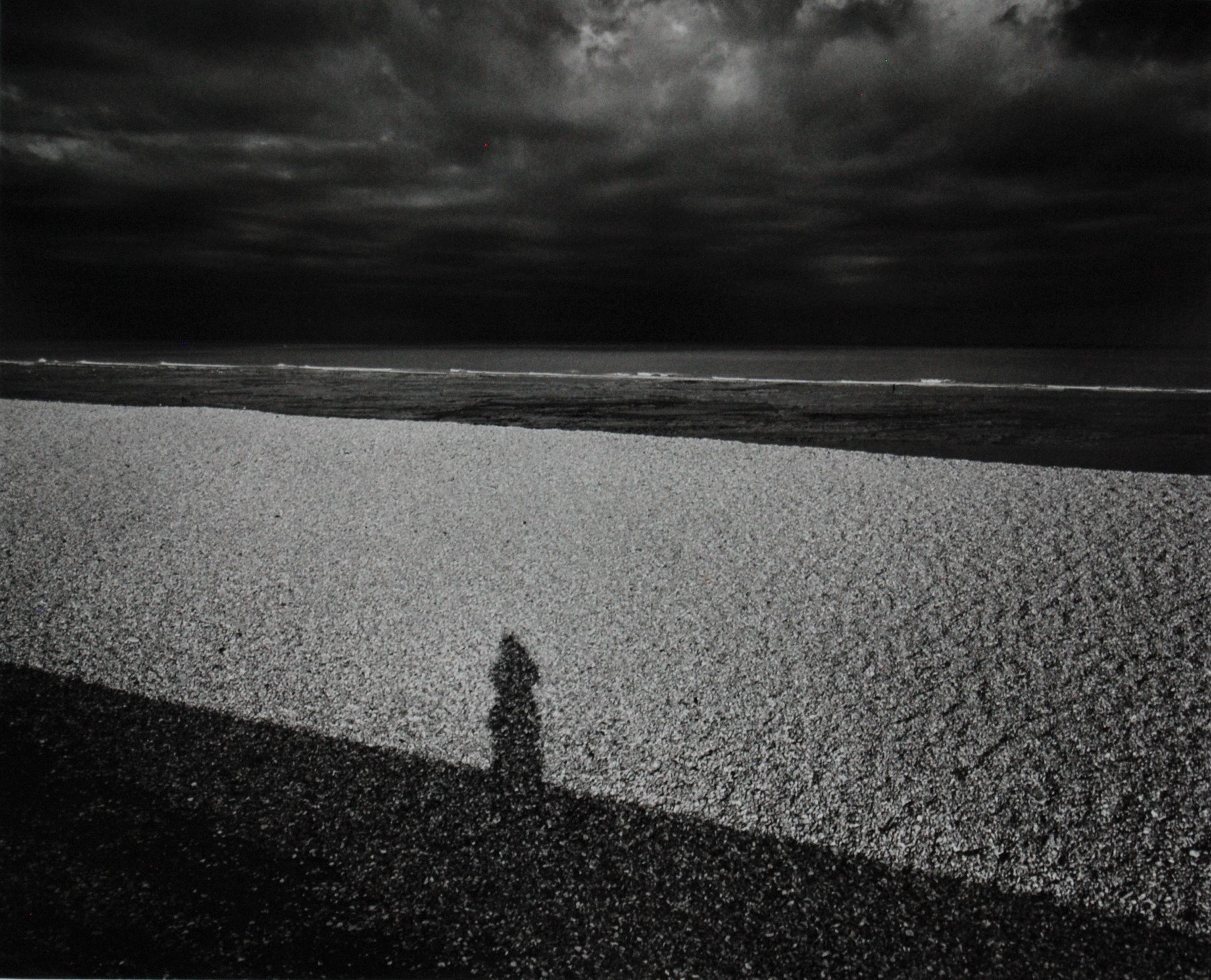 Pett Level, East Sussex, 1988 chosen by Brett Rogers.JPG