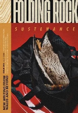 Folding Rock mag. cover.jpg