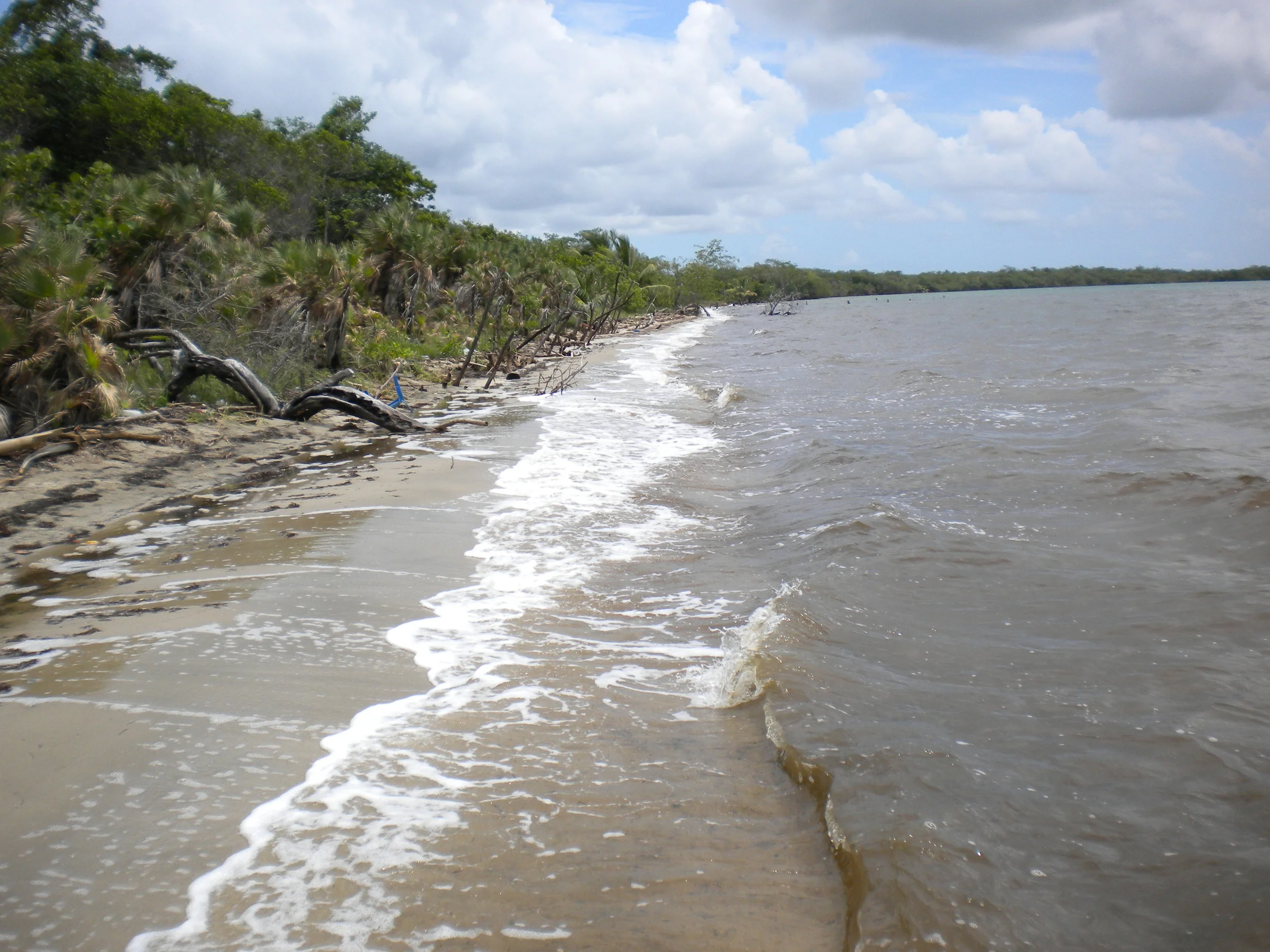 our beach.jpg