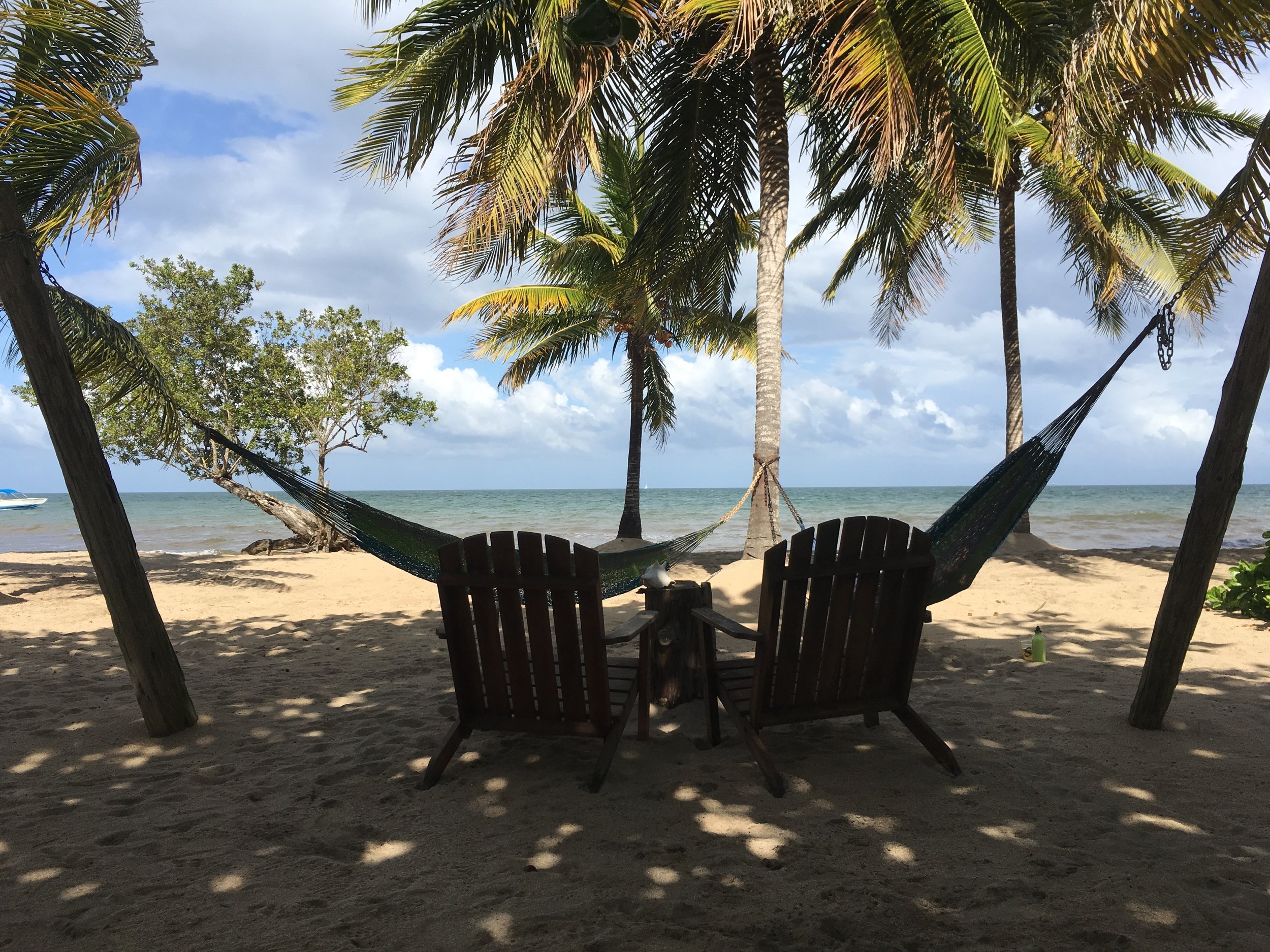 2 chairs.jpg