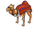 camelani.gif