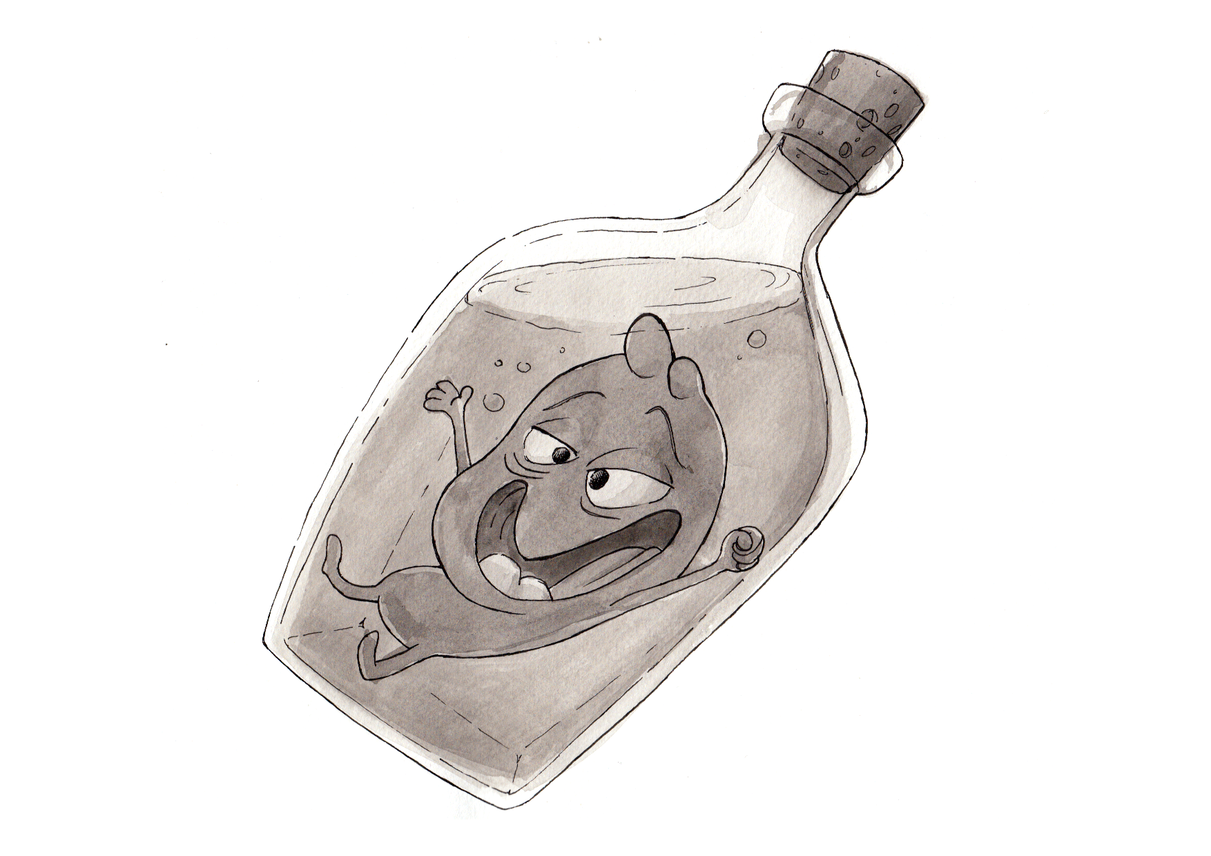 6_SPIRIT.png