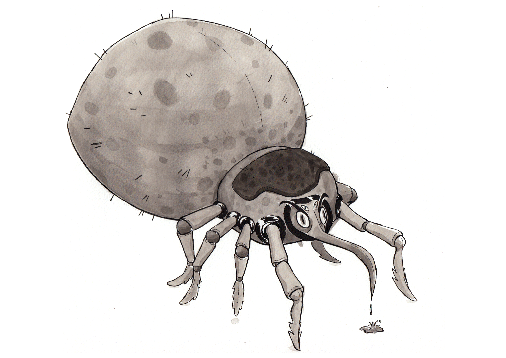 14_TICK.png