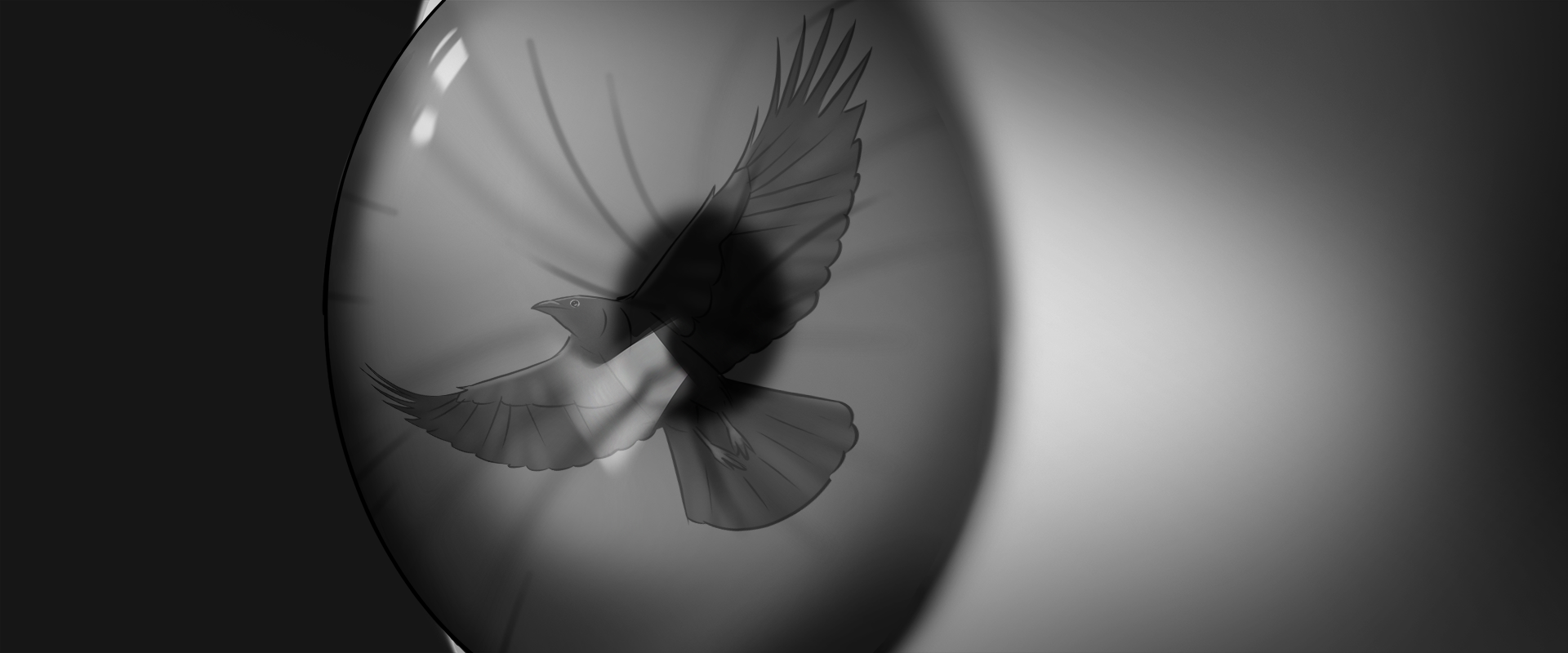 Shot 1b