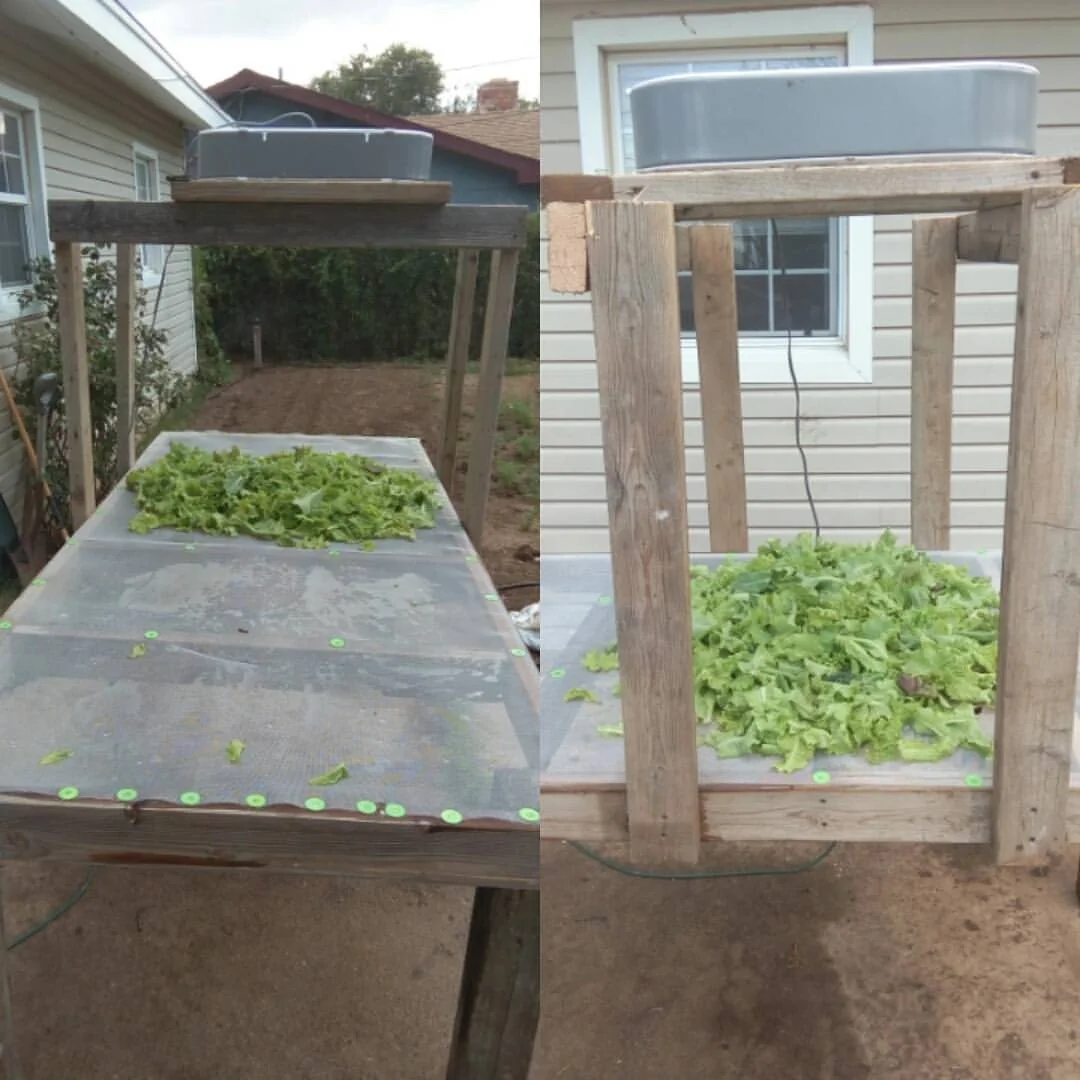 Washing and Drying Table