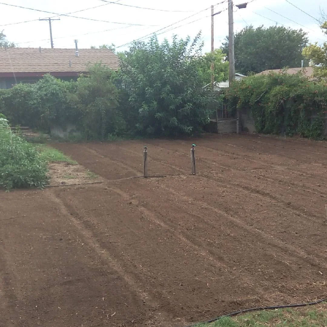 shaped beds with middle section of sprinkers