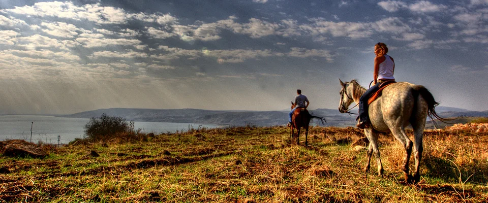 Ron Avni’s family guest ranch, Vered Hagalil in Israel.