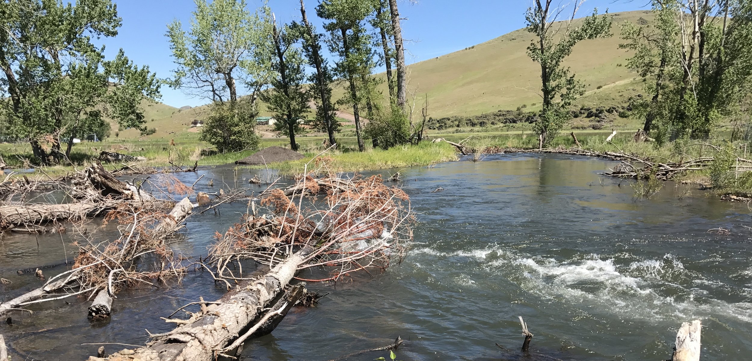  Constructed bend during 2017 high flows. 