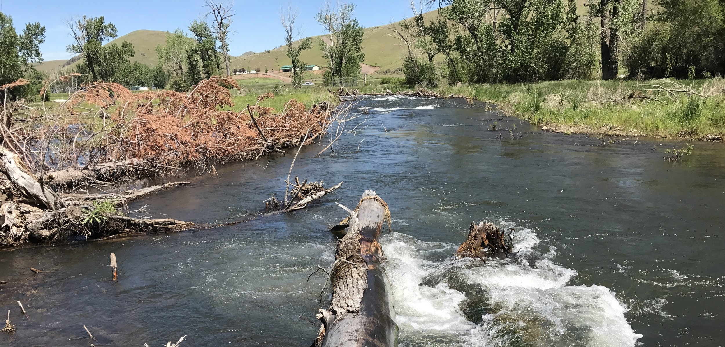  Constructed bend during spring 2017 high flows. 