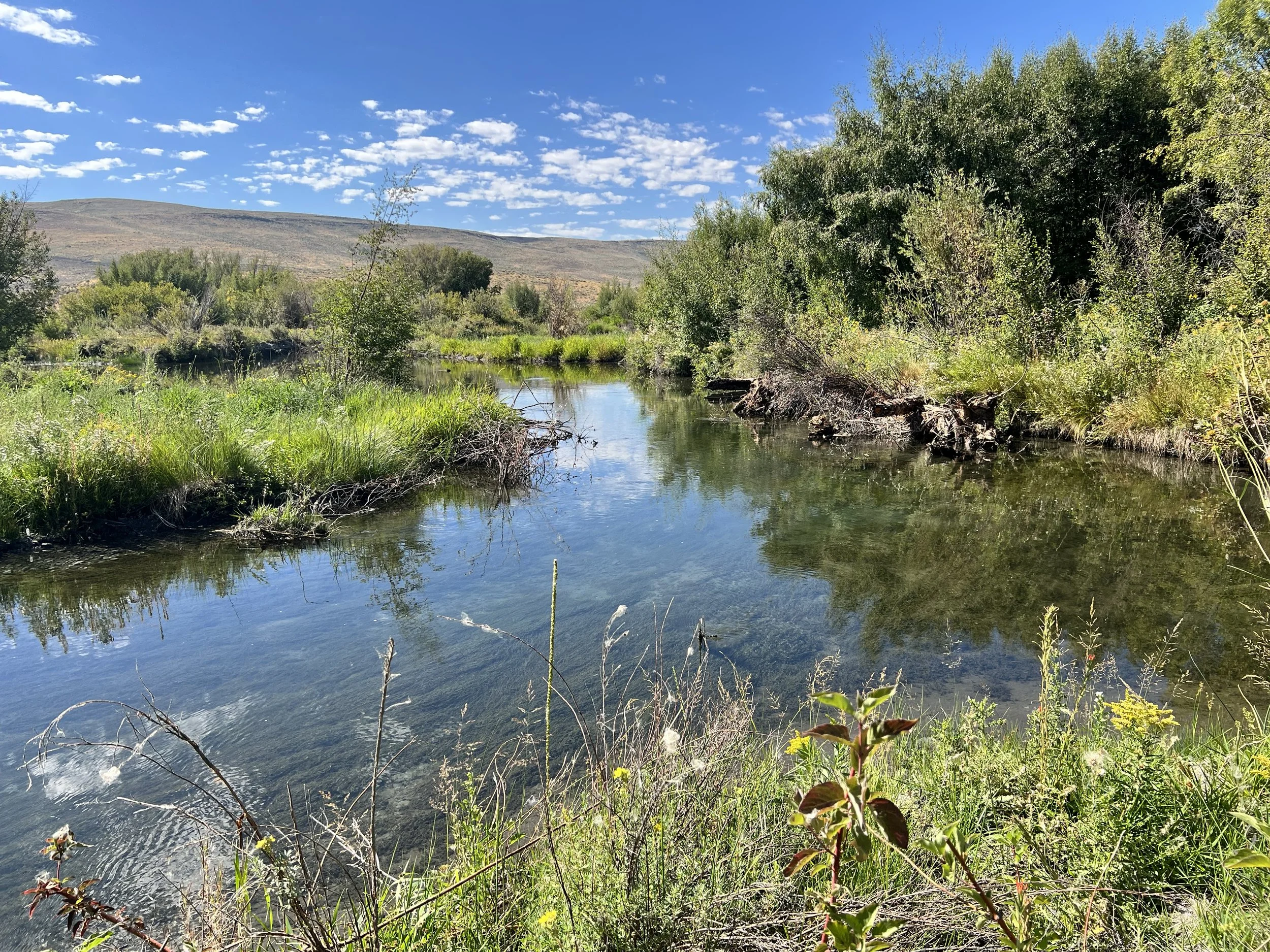 Silver Creek Assessment and Stalker Creek Design