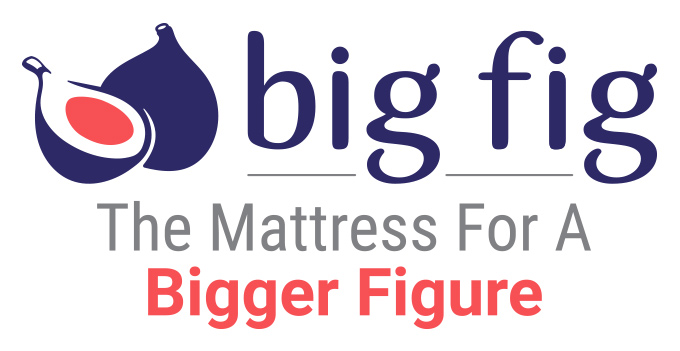 bigfig-logo-WhiteBG-horizontal-DoubleSubline-medium.jpg