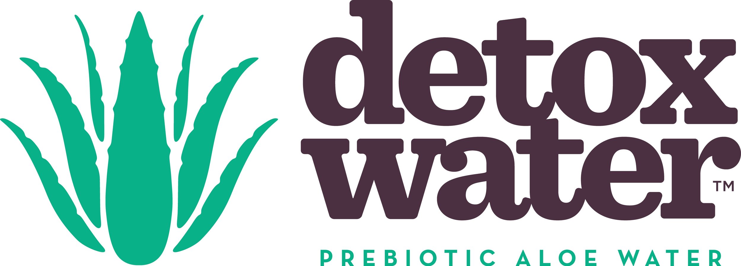 detoxwater-logo.jpg