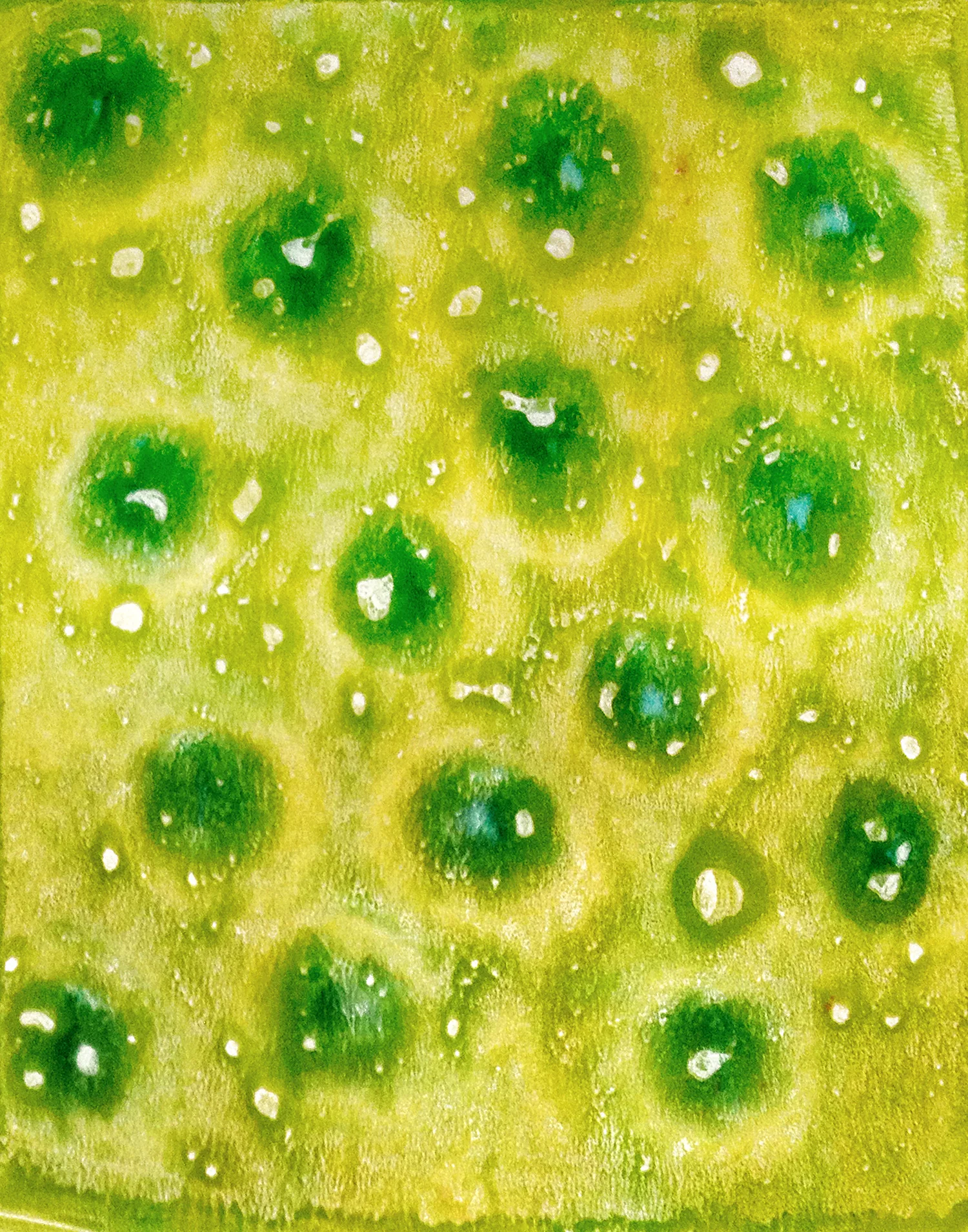 Monoprint 7_72dpi.jpg