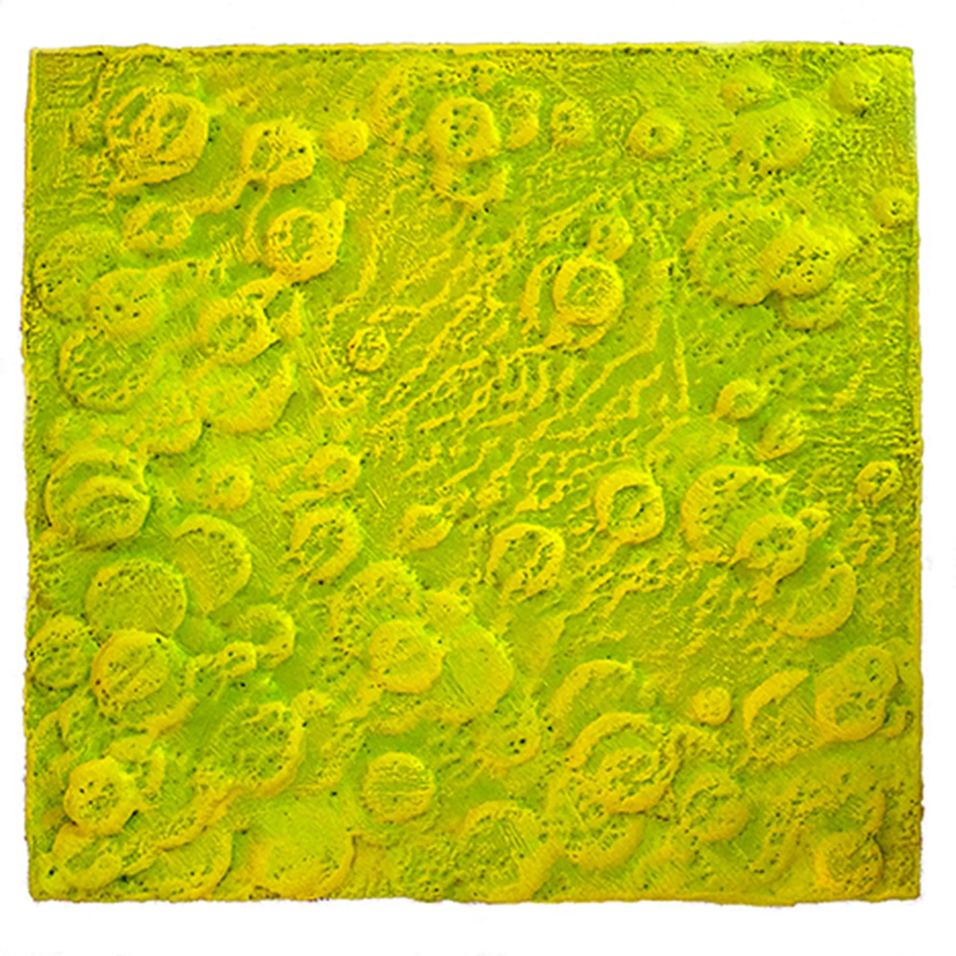 Stratum Corneum_72dpi.jpg