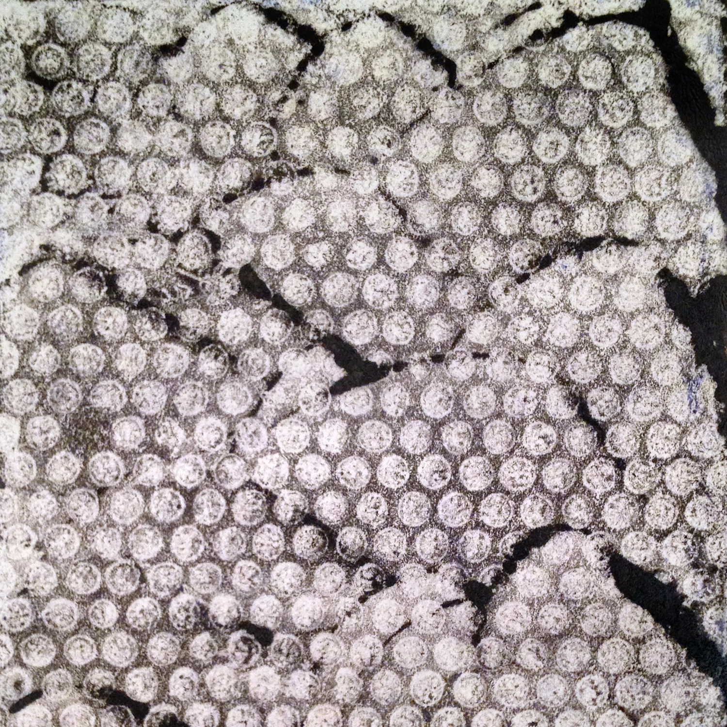 Monoprint 13_72dpi.jpg