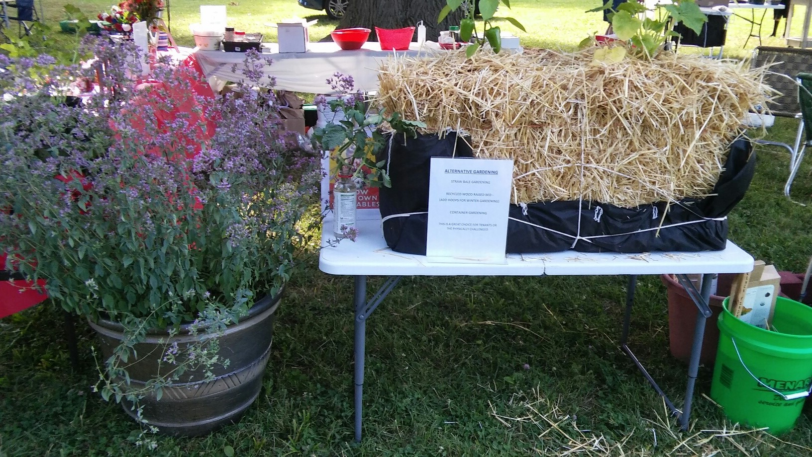 Alternative Gardening Display. Straw Bale, Recycled Wood Raised Bed and Container Gardening. 