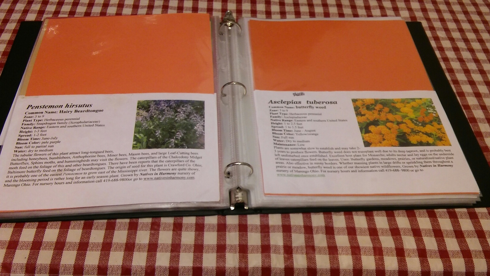 20160817_133201_resized (1).jpg