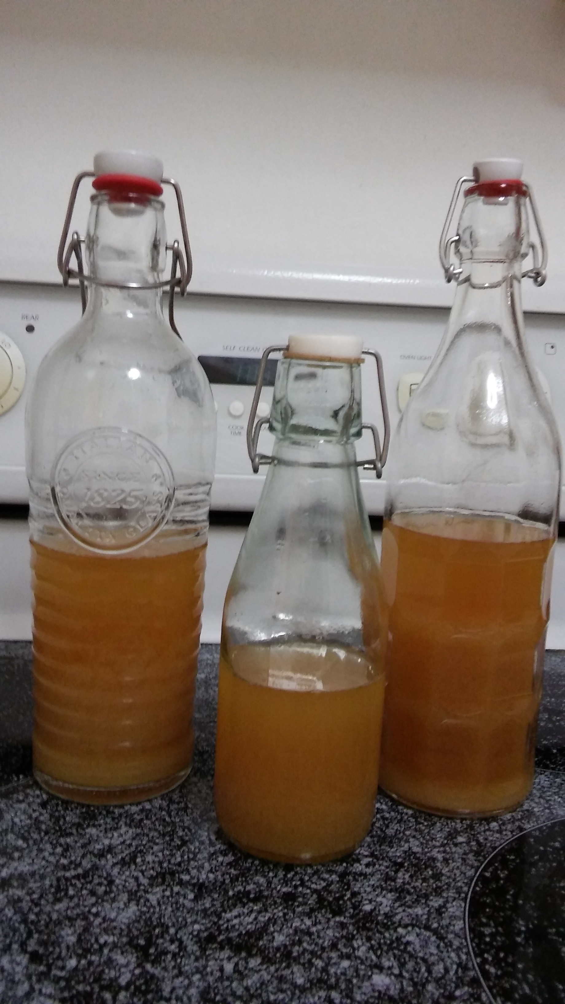 bottles of ginger soda 3.jpg