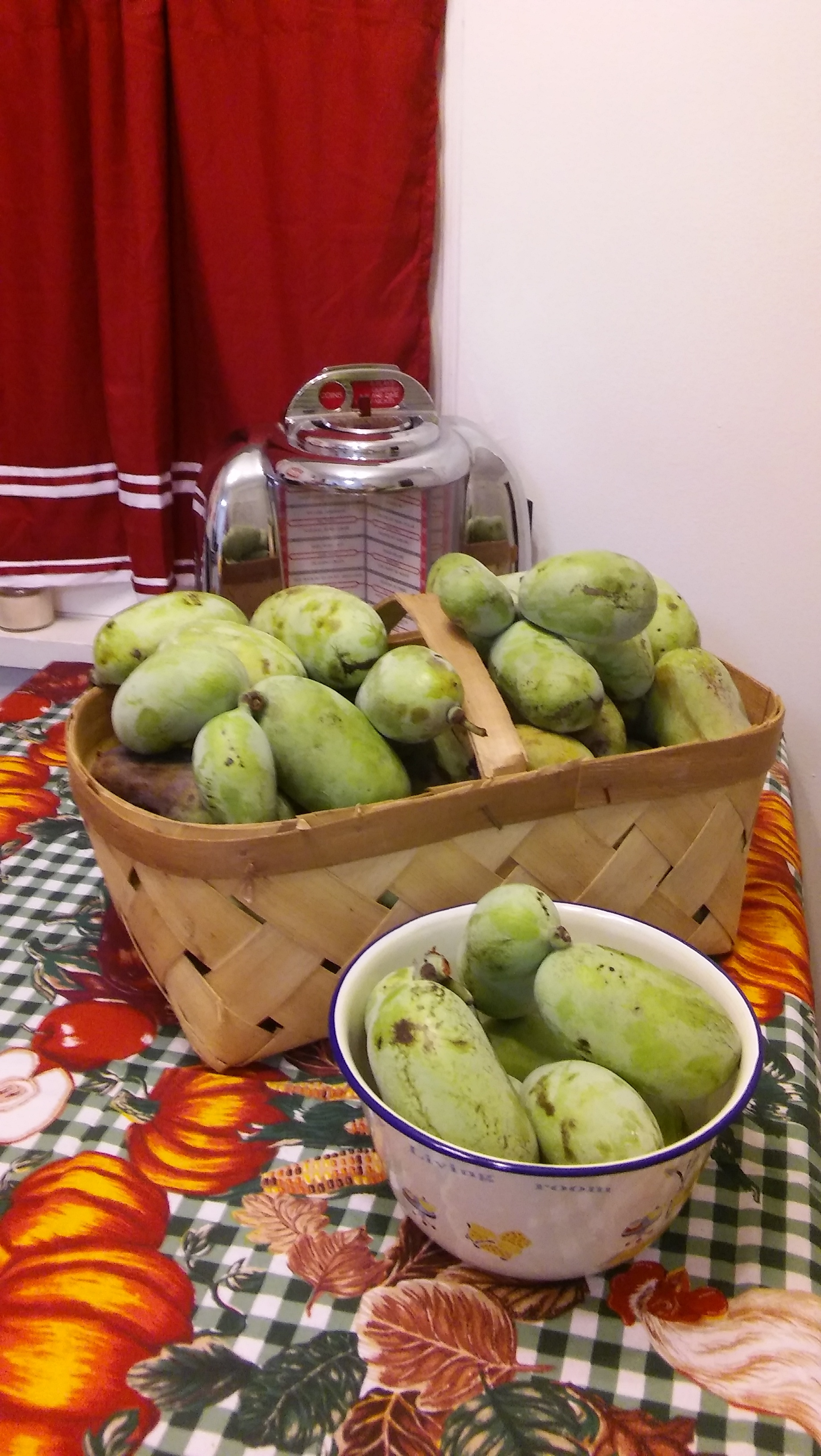 paw paws on my kitchen table 3.jpg