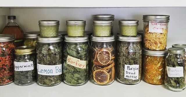 This the last shelf of my herbal medicine cabinet to pack up.  I am moving from my Urban Homestead to a Rural Homestead.