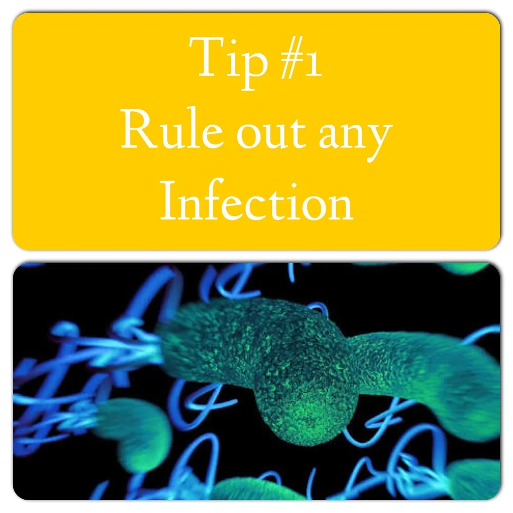 First and foremost you must rule out any infection in your gut. The best diet, the right mindset, the most expensive latest supplements won't work if you have an infection. About 70% of my clients have some sort of infection; a parasite, a bacterial overgrowth, fungus or yeast and some of them don't even come in with digestive issues. It is one of the first tests I get clients to do because you can't move forward with your health if you have an infection that is causing major dysbiosis (poor gut health). Most of the infections I see are Blasto Hominis, D.frag, H.pylori and Giardia, which are all pretty nasty. Once the infection is gone, through a soft natural protocol, we can start rebuilding gut health and symptoms should subside.