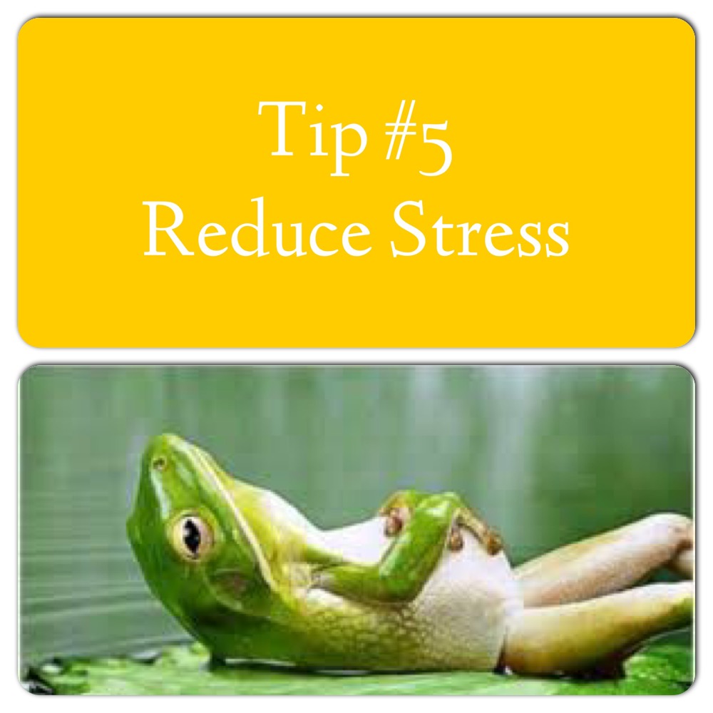 Reduce Stress. Stress has a detrimental effect on the gut. It changes gastric secretion, gut motility, mucosal permeability (increasing leaky gut) and changes in the composition of the microbiota. Stress related conditions is the number 1 reason people come to see me. Not that they know that at the time. Stress from overworking, over exercising, anxiousness, doing too much, not resting, eating inflammatory foods.... The list goes on and it all comes back to stress. Read my blog here on how to 'de-stress' http://functionalnutritionist.net/2016/03/09/7-everyday-tips-to-de-stressstress-less/ or link in bio.
